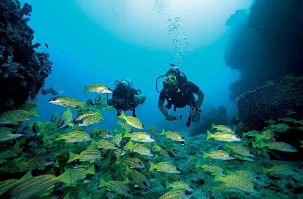 A DOORWAY TO THE DEEP